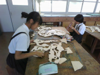 IMG_20250710_105047