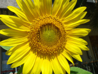 IMGP0076