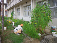IMGP0021