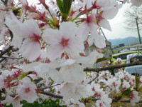 IMGP0031