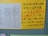 DSCN6532