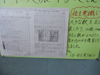 DSCN6529