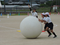 DSCN6841