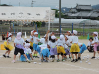 DSCN6885