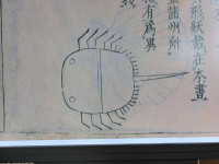 DSCN7178