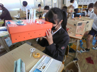 IMG_20250529_113527