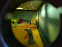 IMG_20250529_115720