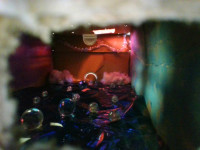 IMG_20250529_115534
