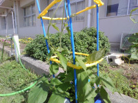 IMG_20250619_091729