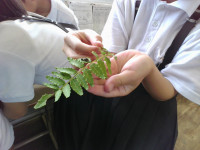 IMG_20250623_091720