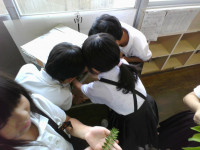 IMG_20250623_091728