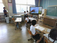 IMG_20250625_104934