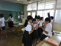 IMG_20250626_140337