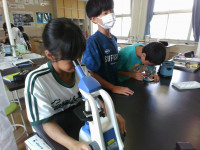 IMG_20250704_111356