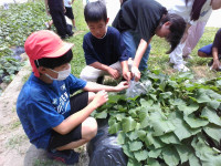 IMG_20250704_112410
