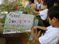 IMGP0106
