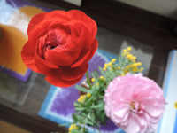 DSCN5866