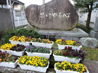 DSCN5867