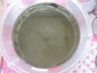 DSCN6333