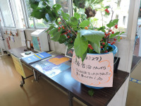 DSCN6351