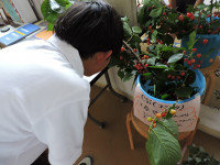 DSCN6357