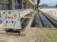 DSCN6441