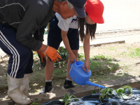 P1013457