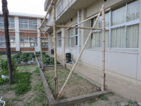 DSCN7282
