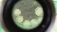 P7240458