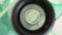 P7240462
