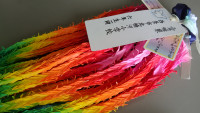 P7080225