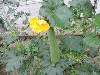 DSCN7973
